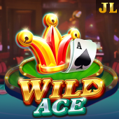 Wild Ace jili333 com update slot